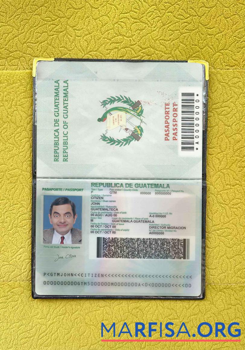 Printable Guatemala passport photo look template